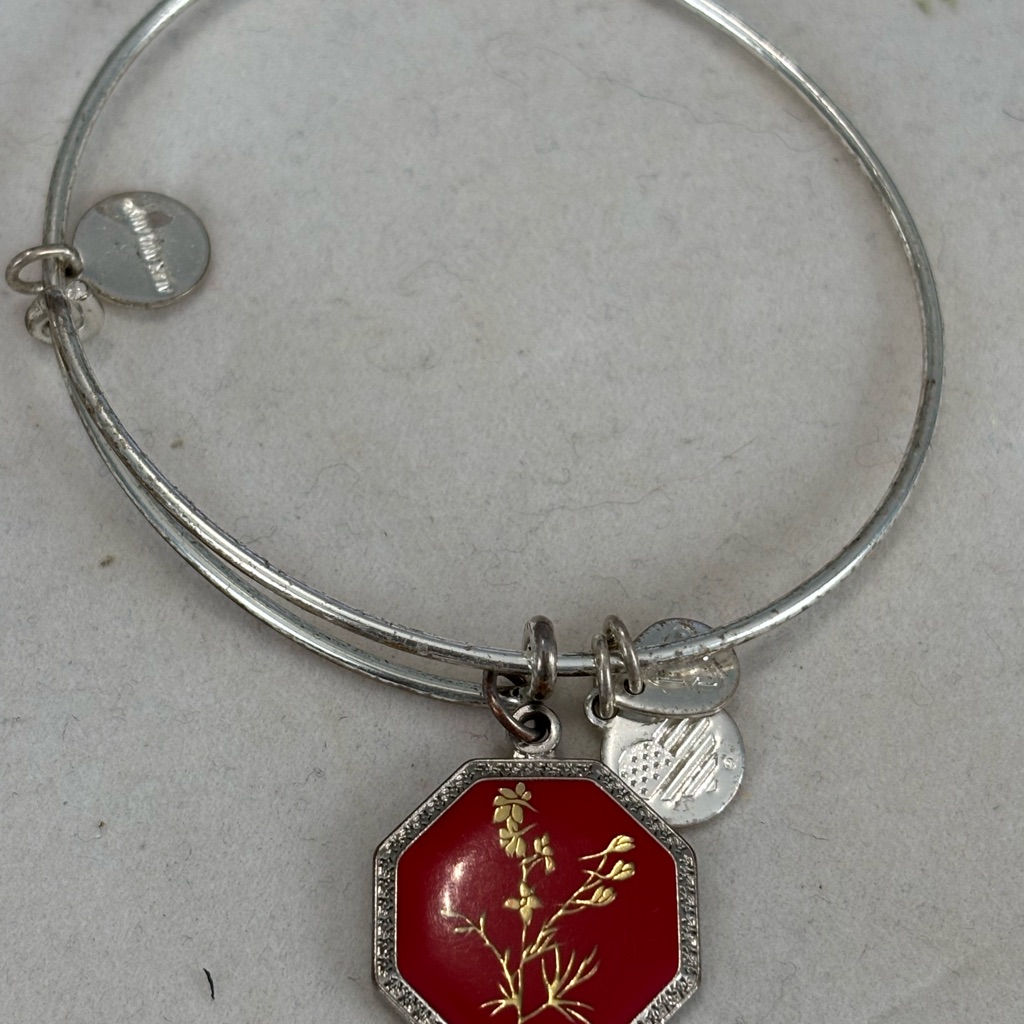 Alex And Ani Silver Bracelet With Red Charm